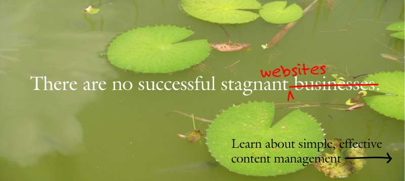 Content Management Systems for Business Websites