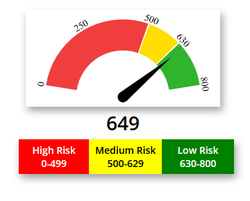  	IT risk assessment companies