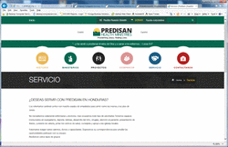 Predisan Website