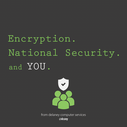 encryptionnationalsecurityandyou