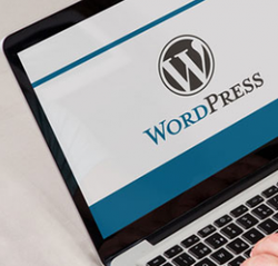 increase in the numbers of cyber attacks on wordpress websites